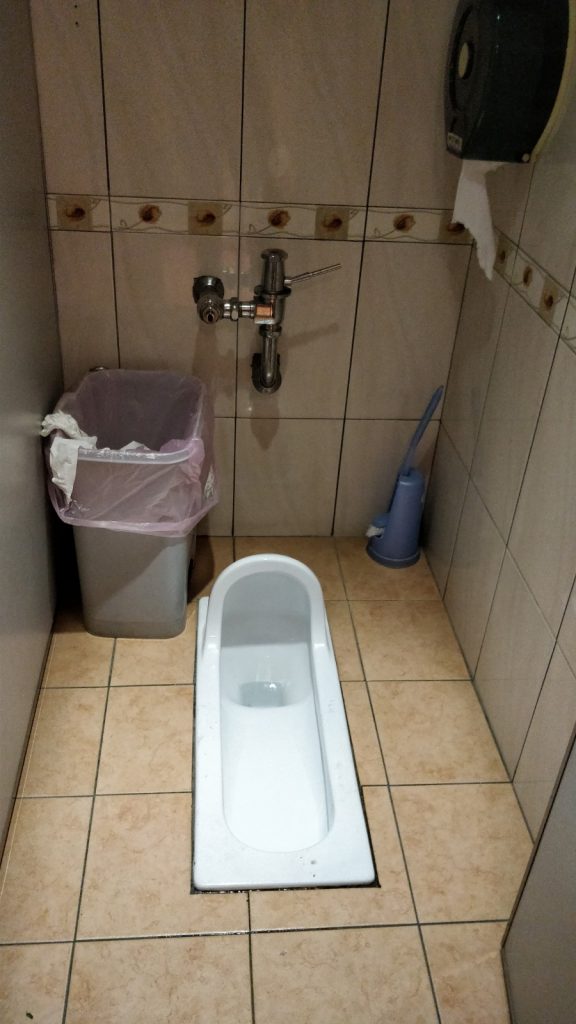 The squatter toilet. An unfortunate reality in Asia. I can always count on McDonald's to have a regular toilet. Thank you Ronald.